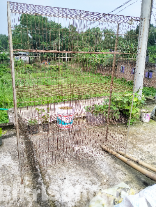 খাঁচা (cage)